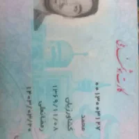 کیف دستی گمشده