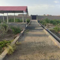 باغ اناری فروشی|فروش زمین و ملک کلنگی|سبزوار, خسروجرد|دیوار