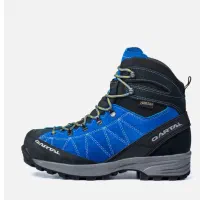 کفش کوه نوردی