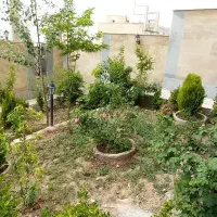 آپارتمان تخلیه ۷۸متری لوکیشن دنج لاله صحرا|اجارهٔ آپارتمان|رودهن, |دیوار
