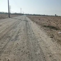 زمین 800 متری بر جاده|فروش دفتر صنعتی، کشاورزی، تجاری|آران و بیدگل, |دیوار