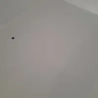 پاکسازی ونظافت منزل وساختمانها|خدمات نظافت|آستانه اشرفیه, |دیوار