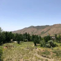 ۱۳۴۰ متر زمین ویلایی با سند تکبرگ|فروش زمین و ملک کلنگی|آبعلی, |دیوار