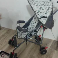 کالسکه عصایی