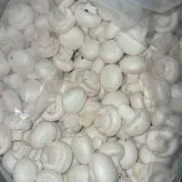 قارچ درجه۱|خوردنی و آشامیدنی|مشهد, کوه سنگی|دیوار
