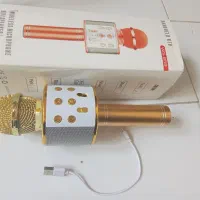 میکروفن میکروفون بلندگو طلایی شارژی باطری لیتیومی