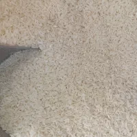برنج هاشمی دره رودمغان