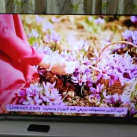تلویزیون کیو‌ ال ای دی