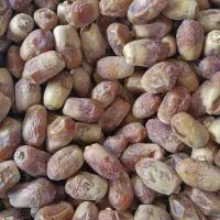 فروش خرمازاهدی