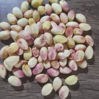 پسته تازه دامغان تسویه پس از تحویل درب منزل|خوردنی و آشامیدنی|تهران, سید خندان (جلفا)|دیوار