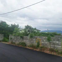 قطعه زمین ۳۲۵ متر با سند بورایش