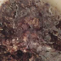 عسل  خالص درمانی