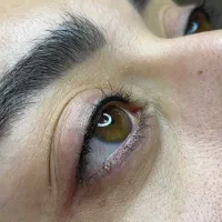 خدمات میکروبلیدینگ ابرو شیدینگ لب خط چشم مینیاتوری|خدمات آرایشگری و زیبایی|تهران, افسریه شمالی|دیوار