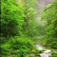 استخدام پرستار کودک صدرا حقوق عالی