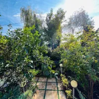 ویلا پیلوت باغی خوش قیمت شهرکی منطقه برند امیراباد|فروش خانه و ویلا|نور, |دیوار