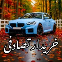 برلیانس تصادفی چپی ضرب دار