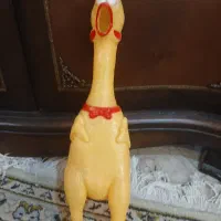 مرغ صدا دار