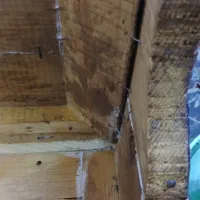 سم پاشی(سمپاشی)فروش سم ساس سوسک موش موریانه وحشرات|خدمات نظافت|سمنان, |دیوار