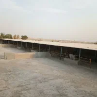 رهن و کرایه دامداری