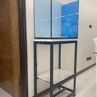 آکواریوم ریملس|ماهی|اصفهان, جوزدان الیادران|دیوار