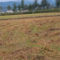 فروش زمین کشاورزی