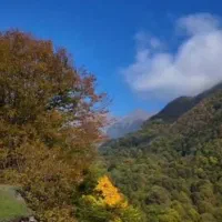 طبیعت گردی