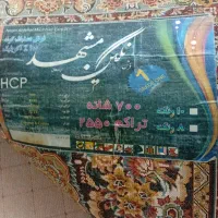 قالی نگین مشهد ۷۰۰ شانه|فرش|مشهد, طبرسی شمالی|دیوار