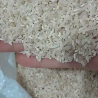 لاشه برنج فجر|خوردنی و آشامیدنی|اصفهان, دانشگاه اصفهان|دیوار