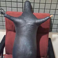 نی انبان|سازهای بادی|شیراز, بهارستان|دیوار