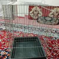 قفس بزرگ و لونه عروس هلندی