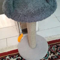 اسکرچر و جای خواب گربه