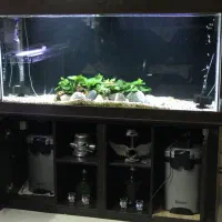 آکواریوم ۱۵۰ سانت فول امکانات