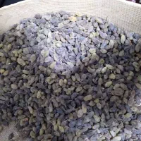 کشمش شیره انگور|خوردنی و آشامیدنی|قم, چهل درخت‎|دیوار