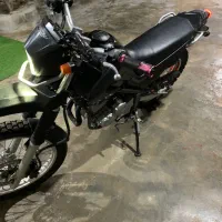 حراجی ۱۰۰ عدد