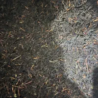 چای محلی گیلان