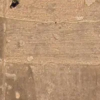 زمین 11جریب چاهگاه سادات