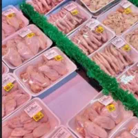 مرغ ماهی ممتازنوقی هاباتخفیف ویژه رفسنجان