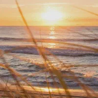 یک عددضامن نیاز دارم برا وام مهربانی