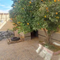 رهن-و-اجاره