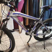 بلست حرفه ای 26(ویوا جاینت)