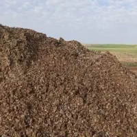 کود مرغ تخم گذار