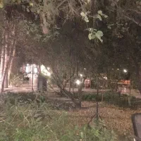 آشپز آشنا با غذای ایرانی و فرنگی