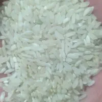 فروش فوری ۱۲ من برنج میلاس منی۲۸۰۰