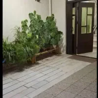 ۶۵ متر / ط دوم / تکواحدی / بازسازی شده علیان|فروش آپارتمان|تهران, فرزانه|دیوار