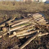 خریدار چوب وهیزم