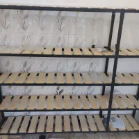 رگال تمیز نو