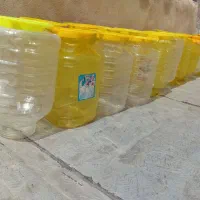 پت ۱۰|ظروف نگهدارنده، پلاستیکی، یک‌بارمصرف|همدان, |دیوار