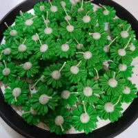 شمع گل عید غدیر خم