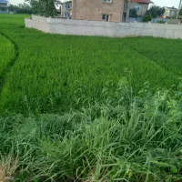 زمین-مسکونی-با-پروانه-ساخت