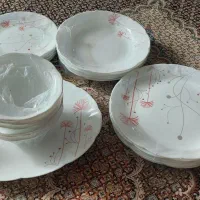 سرویس ارکوپال ۲۵ پارچه آک داخل کارتن